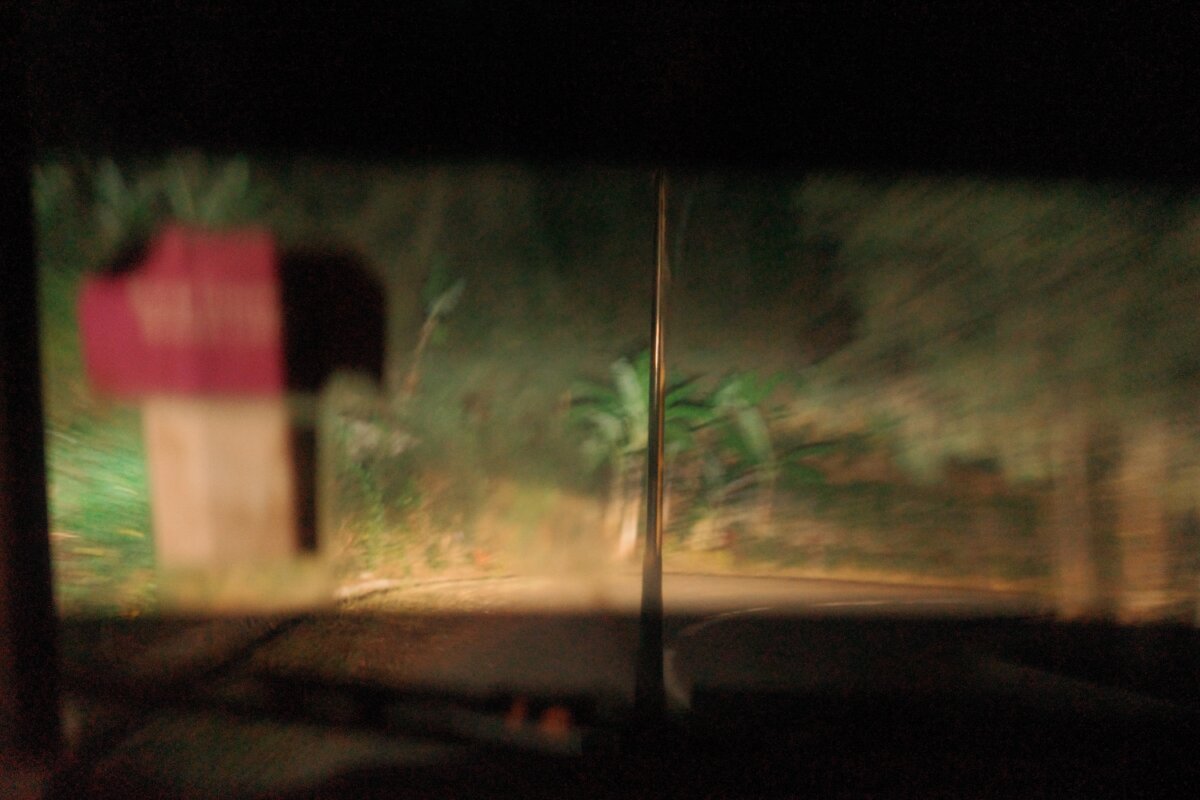 At night, a view of trees is illuminated by the headlights of a car, through the perspective of someone driving.