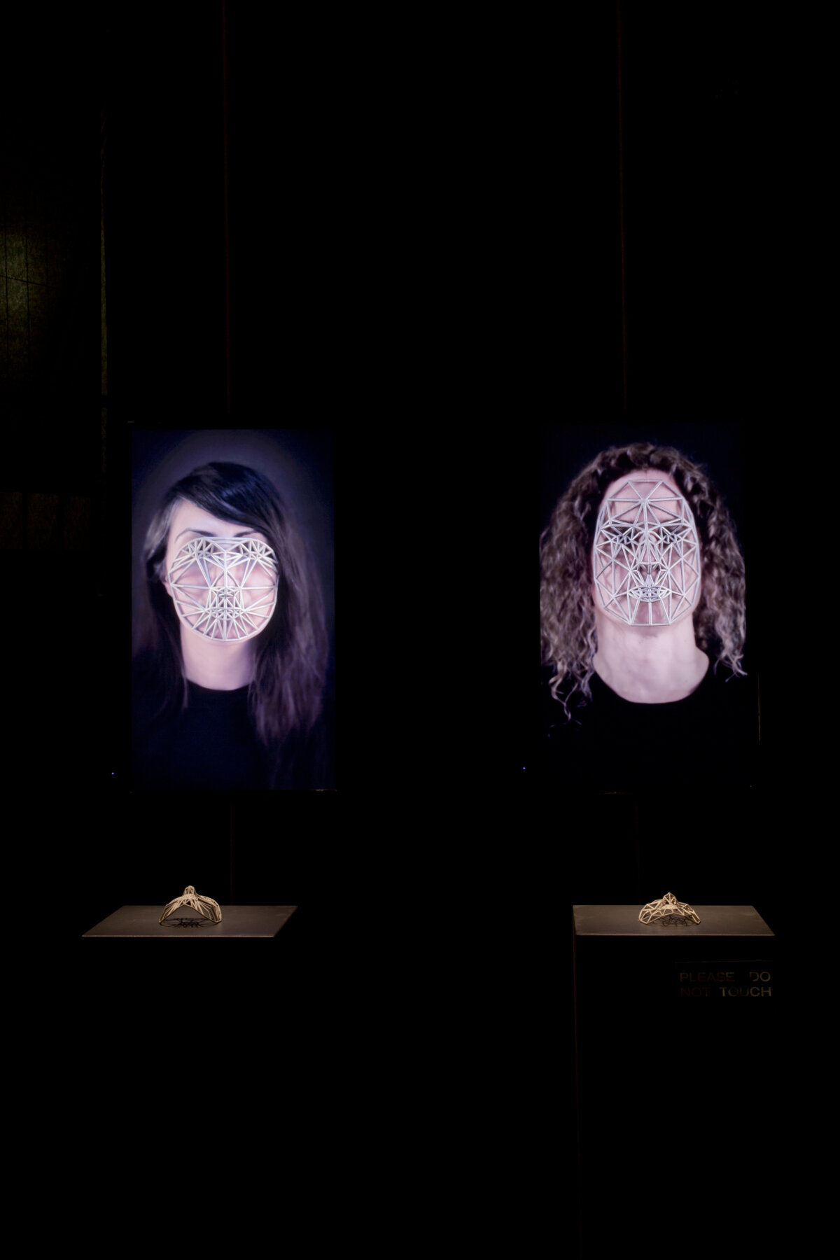 Face20 Cages