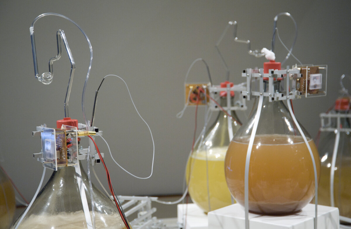 HONF20 20 Intelligent20 Bacteria2020by20 Jonathan20 Groeger2020transmediale205407388521