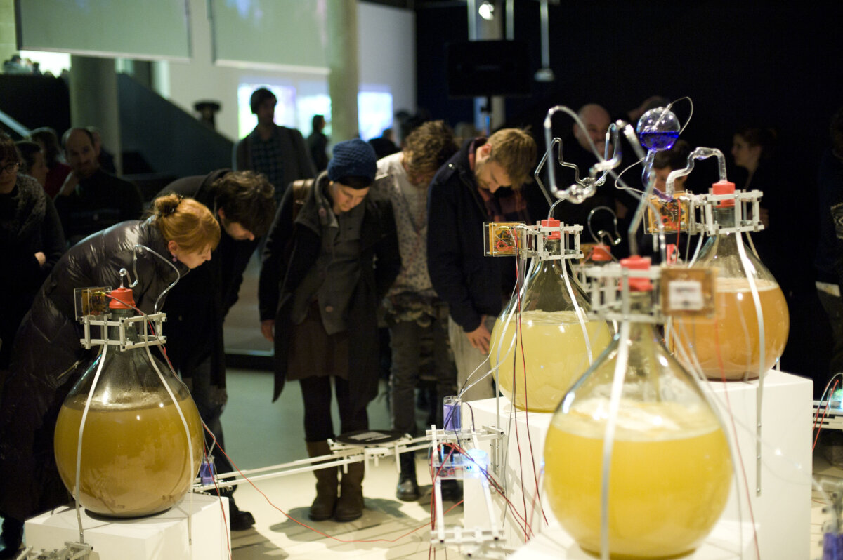 HONF20 20 Intelligent20 Bacteria20by20 Jonathan20 Groeger2020transmediale205410462976