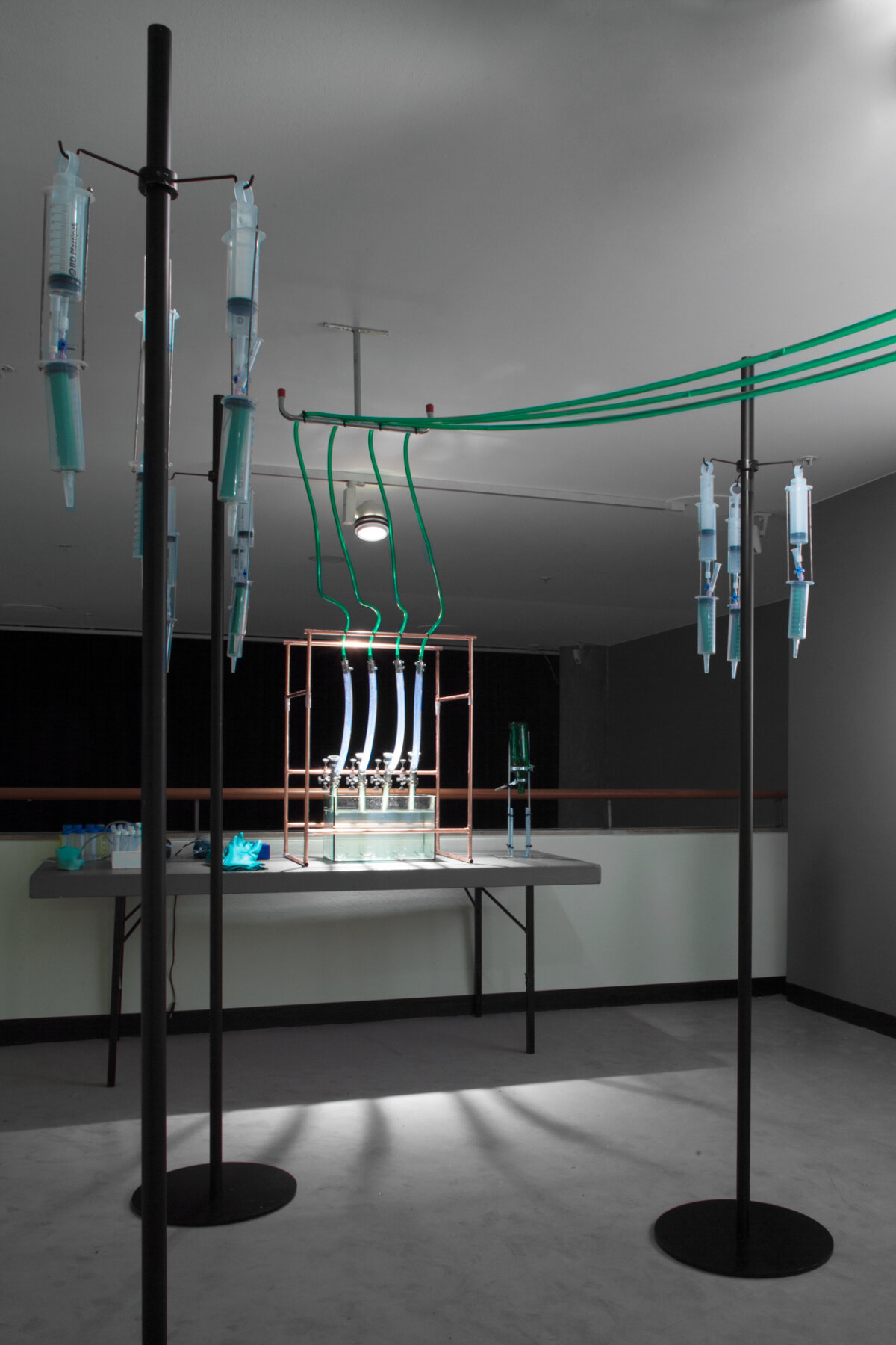 LIUC TRANSMEDIALE HKW 305