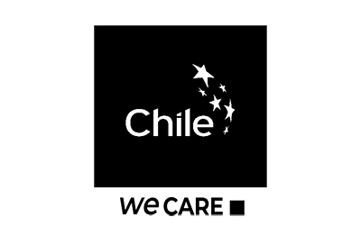 LOGO 2024 CHILE WE CARE gris transparente