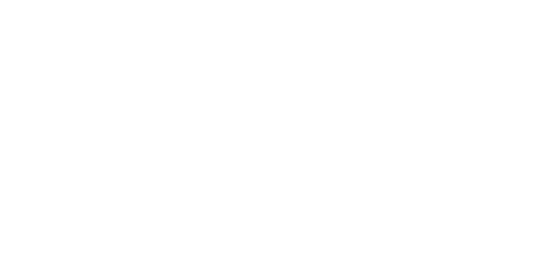 Schering stiftung logo26