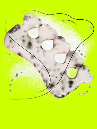 Tm24 journal widget background