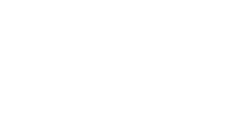 Web Junge Kunst
