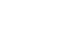 Web springerin black